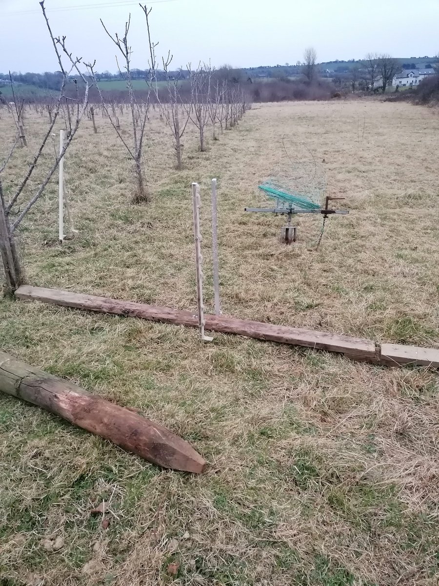 VikingDrinks's tweet photo. Preparation for new vines, aspect North, North East x South, South West, interesting,! this area is a hot bed, 3 x150 metres first vine planting since 2015, 100% confident with #Piwi varieties, Vitaculture in a marginal @NatOrgSkill course 12/13 March #rondo #solaris #pinotin https://t.co/4PQIydJ9ug
