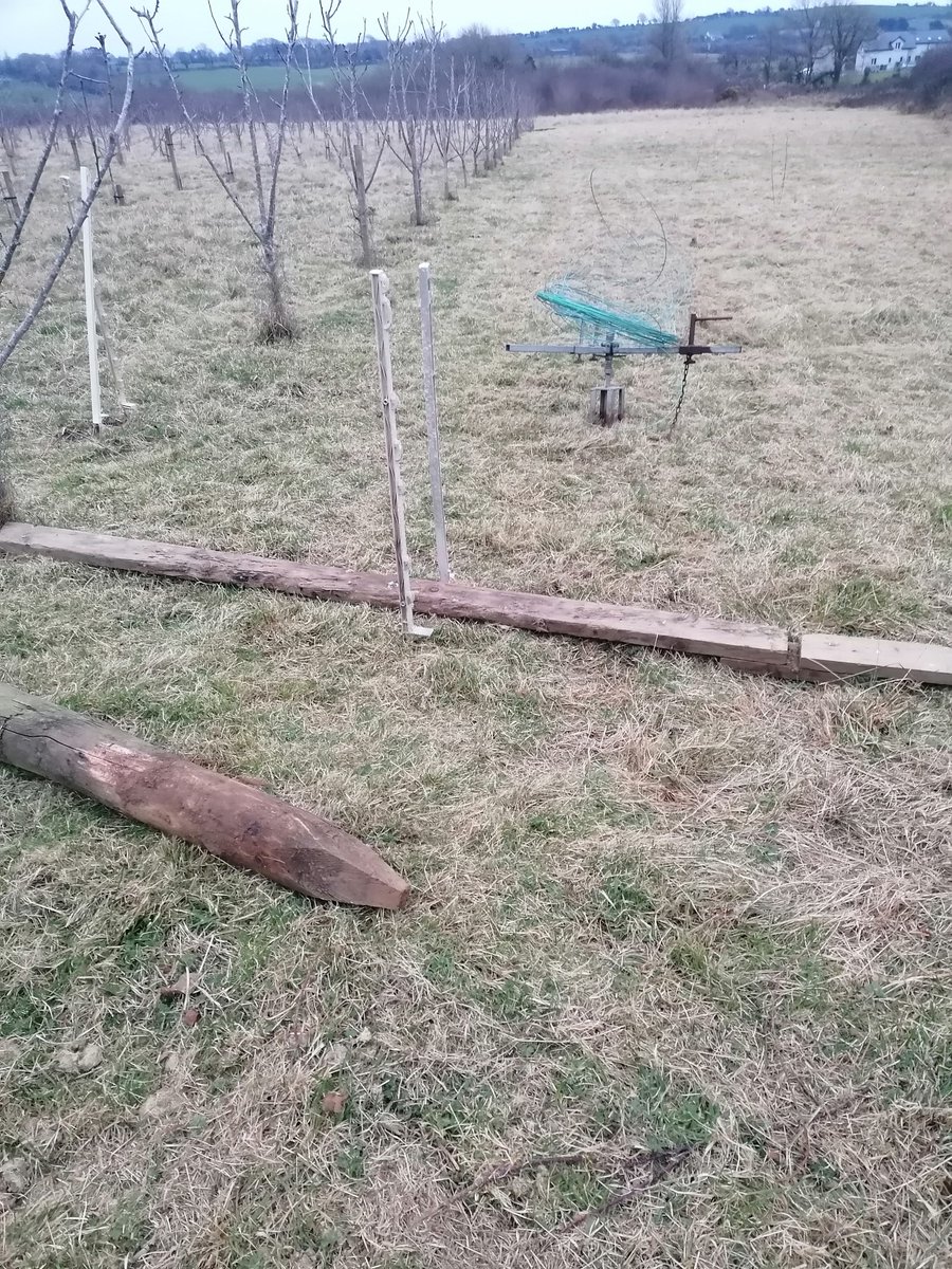 VikingDrinks's tweet photo. Preparation for new vines, aspect North, North East x South, South West, interesting,! this area is a hot bed, 3 x150 metres first vine planting since 2015, 100% confident with #Piwi varieties, Vitaculture in a marginal @NatOrgSkill course 12/13 March #rondo #solaris #pinotin https://t.co/4PQIydJ9ug