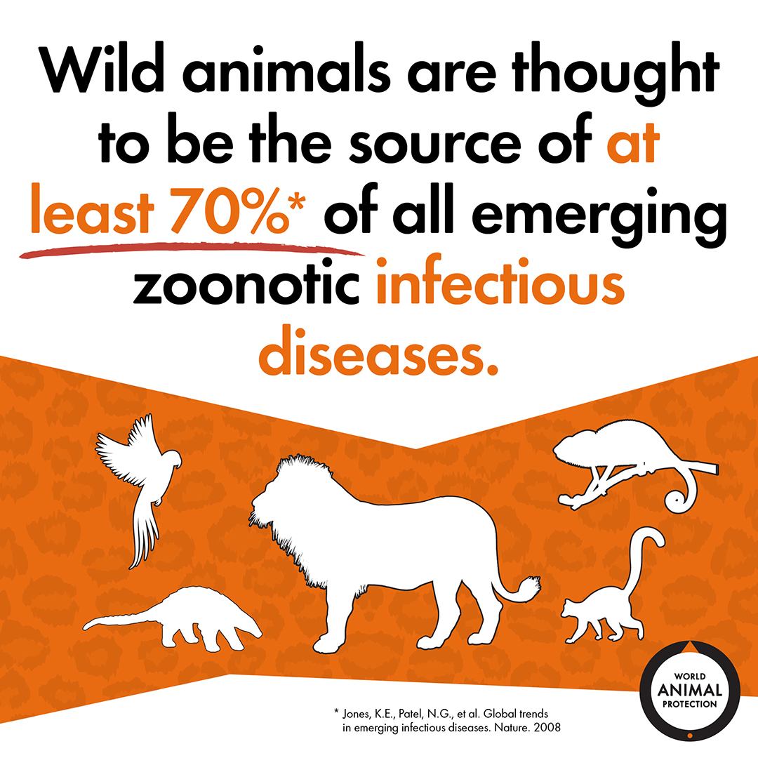 World Animal Protection US (@MoveTheWorldUS) / Twitter World Animal Protection US (@MoveTheWorldUS) / Twitter
