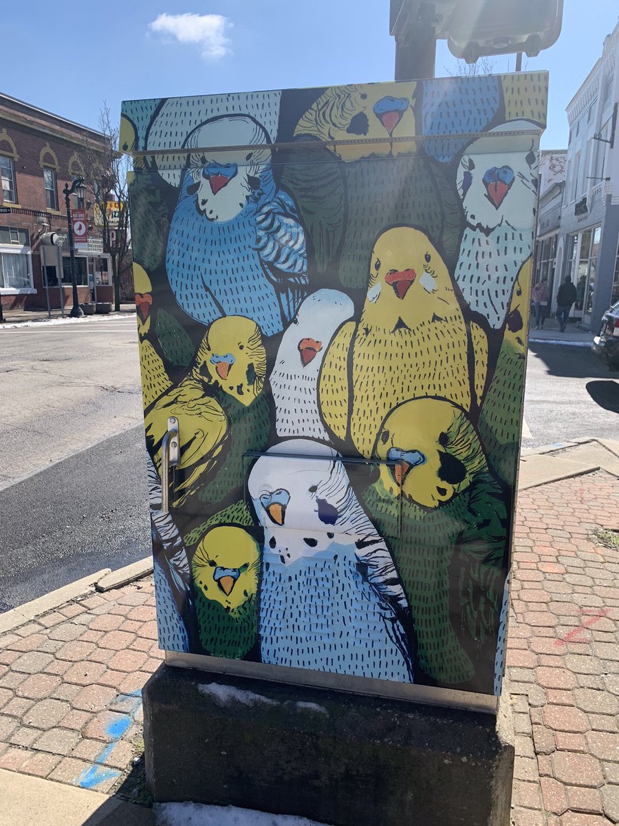 Budgie street art!