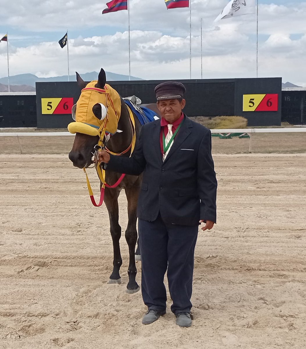 OficialHinava's tweet photo. Fotos 📸 | "Il Partigiano" (3) triunfó en la 3era. competencia del programa, con la monta de E. Guedez y entrenamiento de R. R. Díaz 🥇. 

👉 En el segundo lugar llegó "American White" (4). 

#Hipismo 🏇 https://t.co/Il1nPknlNW