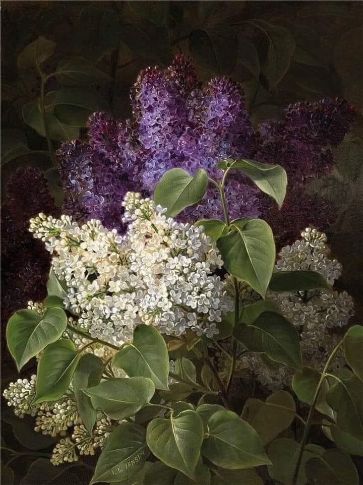 olgatuleninova's tweet photo. Johan Laurentz Jensen, Denmark
  1800-1856 https://t.co/dLokUwb59c