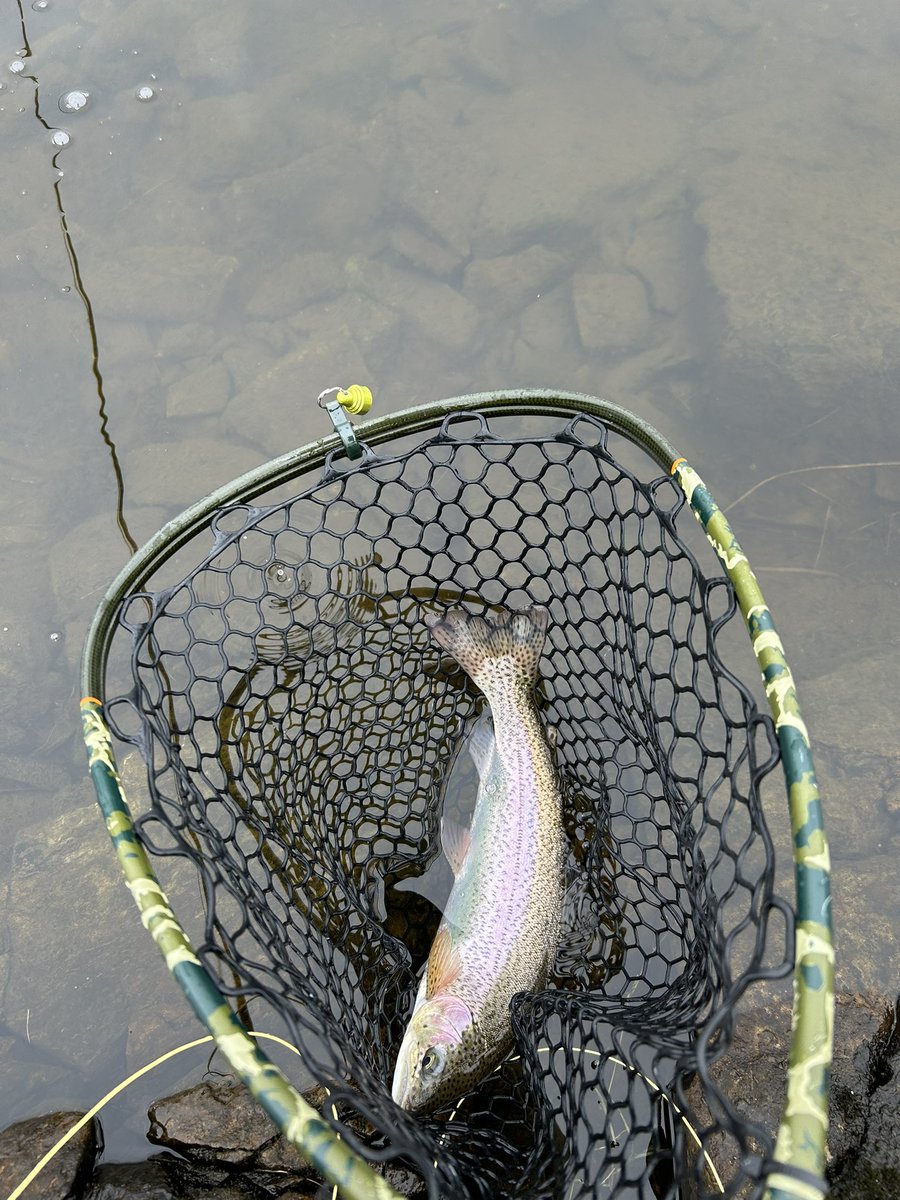 Jsmithy1994's tweet photo. First visit up High Fairbanks since it opened on the 1st. Nice day to be out, and a few new nice overwintered Fish netted #FlyFishing https://t.co/PRXdTPZdHR