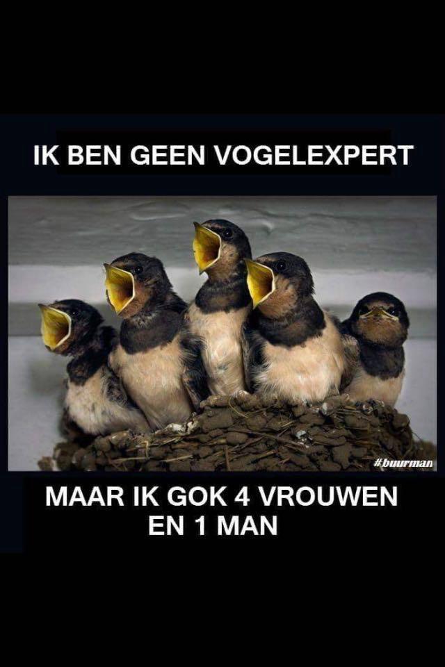 sybmeister69's tweet photo. https://t.co/VTFm2woerw