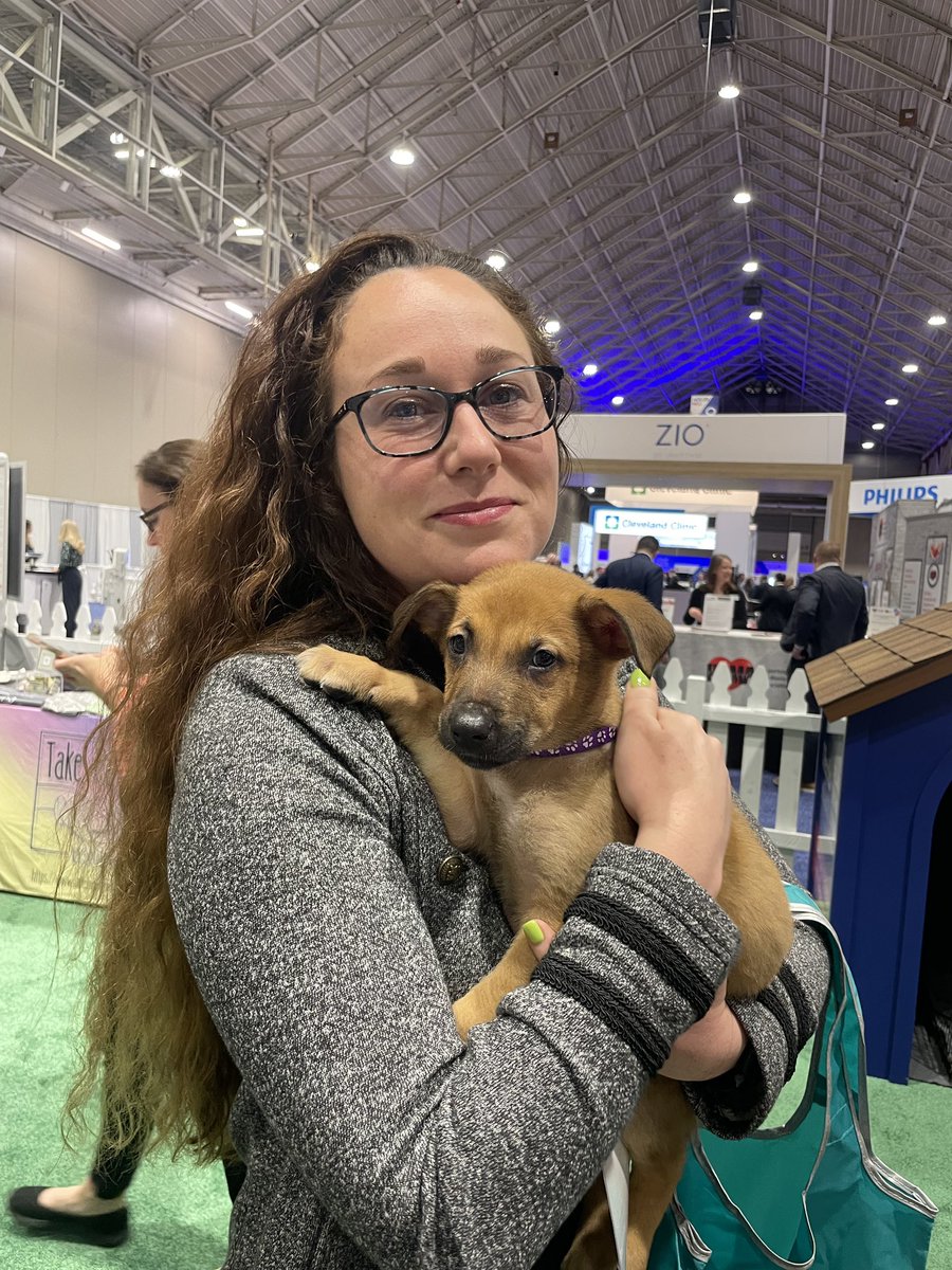 BachmannsBundle's tweet photo. The last two ACC conferences I did remote with my German Shepherd. This year at #ACC2023 the Shepherds came to me. 

#WIC #ACC #Cardiotwitter https://t.co/XWVFGBm0qL