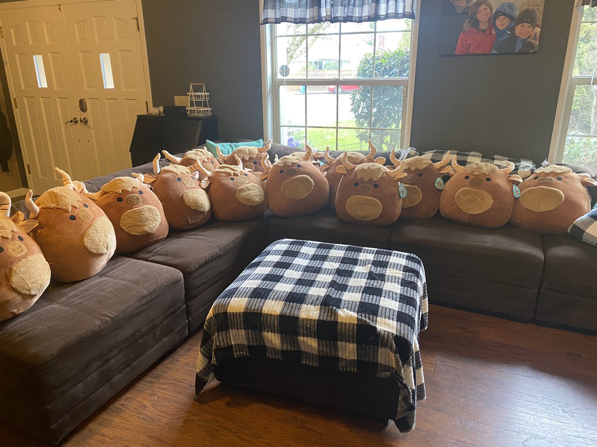 ReneeKEZI's tweet photo. When your last name is Yakovich… you buy ALL the @squishmallows Yaks at Costco! #squishmallows https://t.co/nv25MQscT4