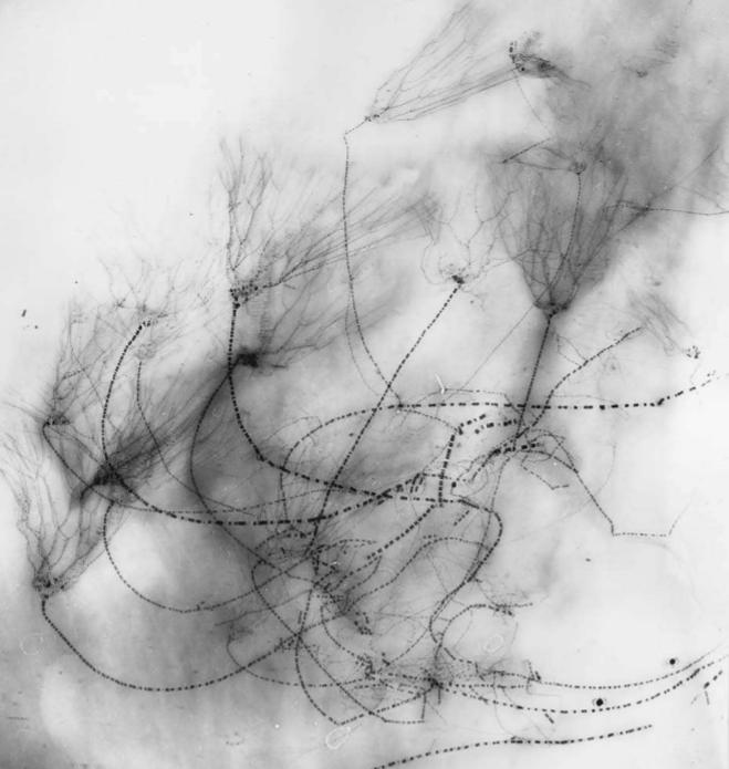 FossilBonanza's tweet photo. Because of pyritization, the crinoids in Germany's Hunsrück Slate are in AMAZING detail but are EXTREMELY fragile. However, we can use X-rays to peel back the layers and observe these echinoderms without disturbing them!
#TotallyRadWeek #Paleontology
https://t.co/h4PwLTS2e6 https://t.co/Sk4N8dJJS9
