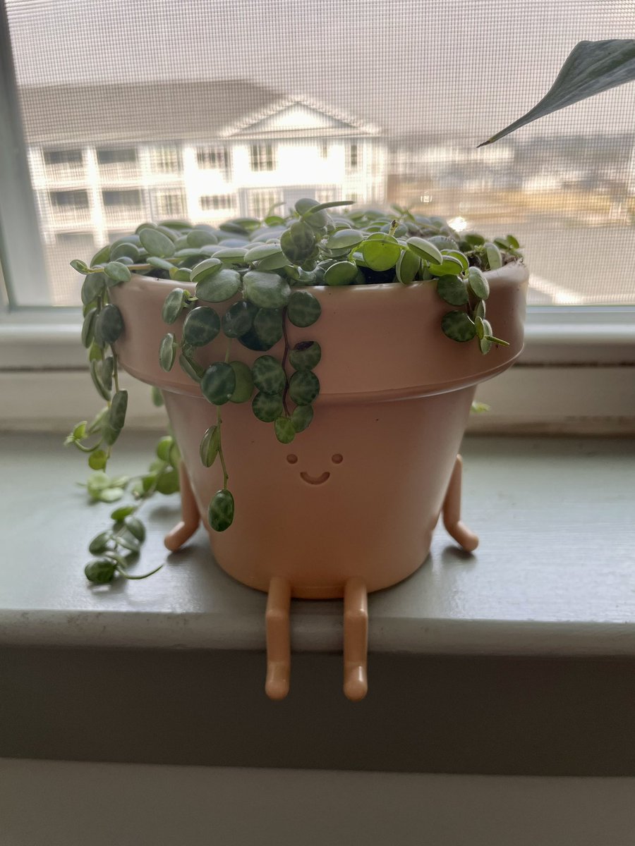 __chriistine's tweet image. items in my apartment i just love:
my cute little pot friend
my lemon rug i crocheted
🥰