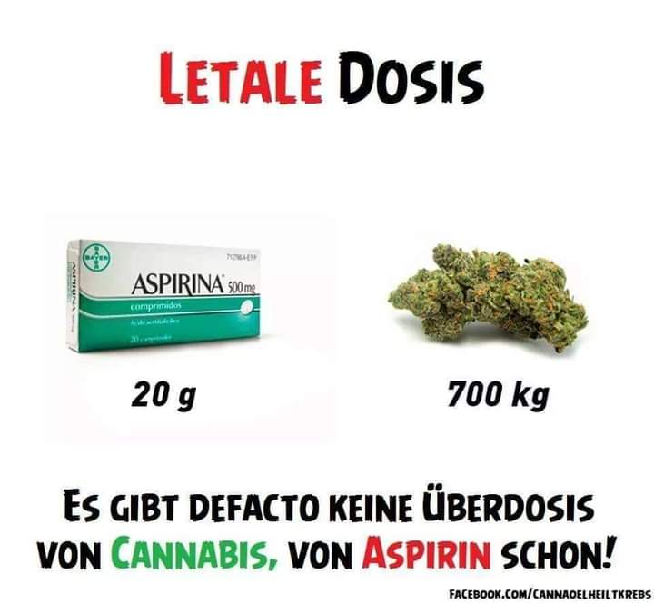 ThomasV94305869's tweet photo. @StMGP_Bayern @klausholetschek Lobbyeinkünfte sind Teil der Korruption. 
Pharma Privat und Alkohollobby laufen Sturm?
Sind die Einnahmen schon ausgegeben und die Zeit der Prohibition nicht abgelaufen nach Iboprophen Zitaten im drugsubstanceact 2020 durch #danielaludwig s Brokkoli TÜV?
Gesundheit Bayern; https://t.co/g1wpAivSL5
