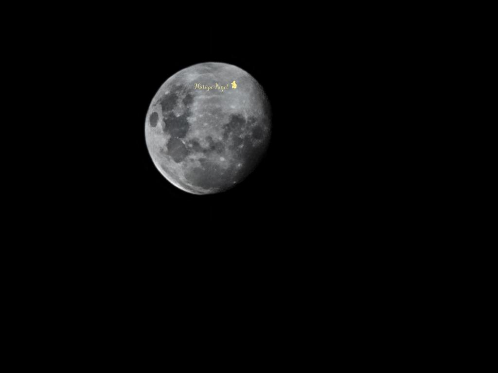 Hon. MatopeNigel tweet media