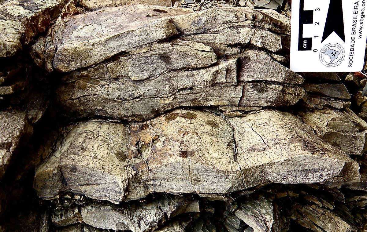 stratigraphix's tweet image. Oscillatory ripples in 3D from the Permian Ecca Group in the Karoo Basin, South Africa

#ripples #sedimentarystructures #bedforms #sedimentology #stratigraphy