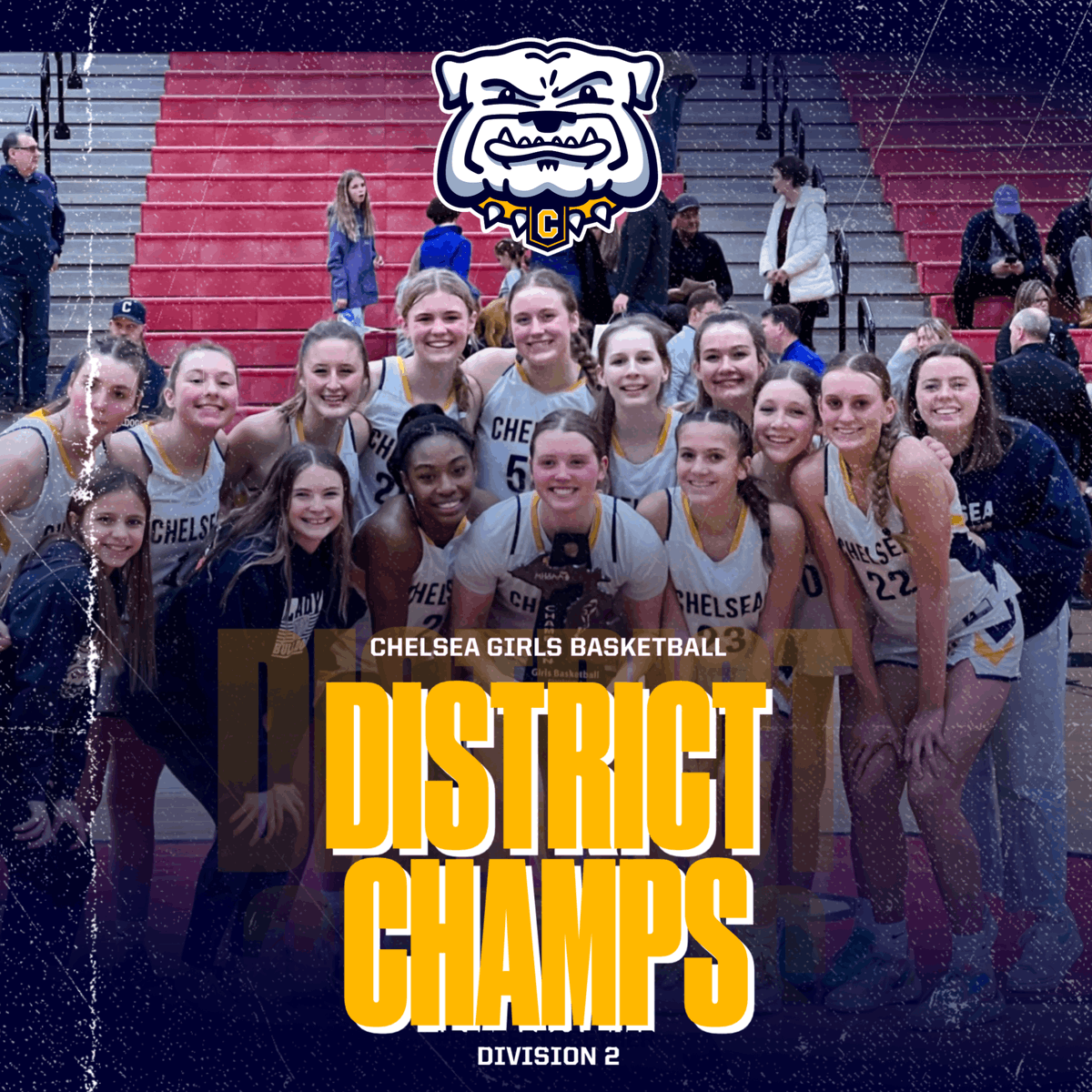 District Champs!! <a href="/dawggirlsbball/">Chelsea Girls Basketball</a>