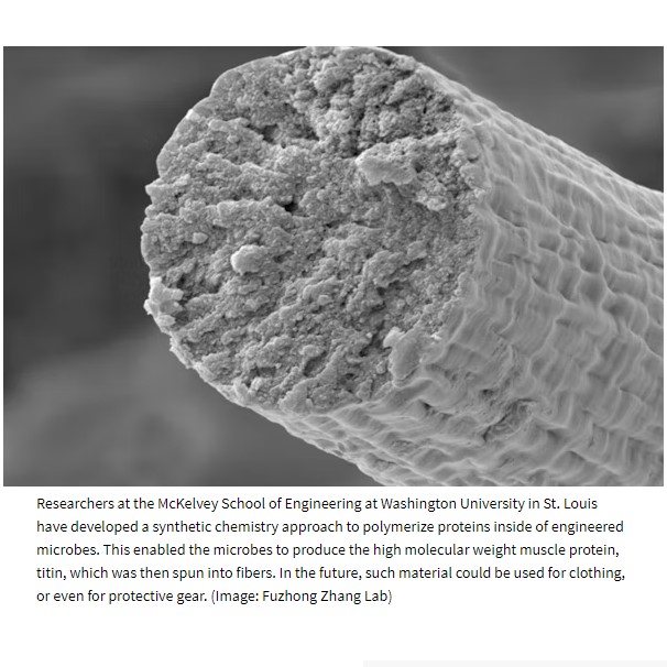 Interesting stuff...
#mckelveyschoolofengineering #washingtonuniversity #synthetic #chemistry #protein #microbes #muscle #fiber #microscopic