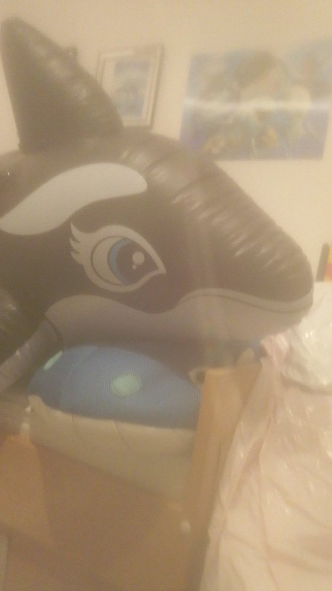 4 orcas currently inflated

Sorry the camera unfortunately has a crack