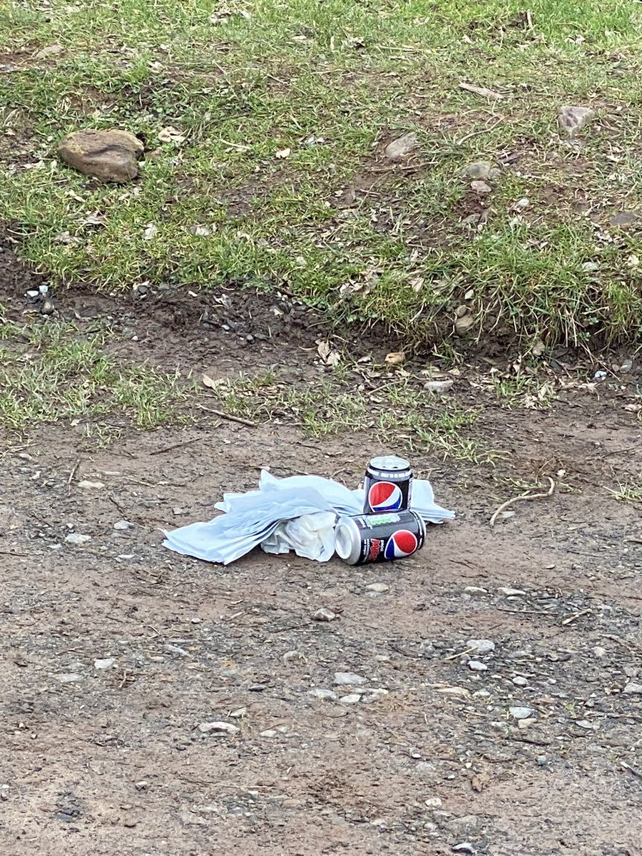 johntheskipper's tweet photo. We just now need to educate people to take their s**t home with them 😱🤬🤬🤬😡🤯 why do 🫵 people think this is right 😱🤯😡 #respectnature #dogs #DogWalkingForecast #dogwalkers #rubbish #respecttheenvironment @VisitBrecon https://t.co/KrtHsi3kC6