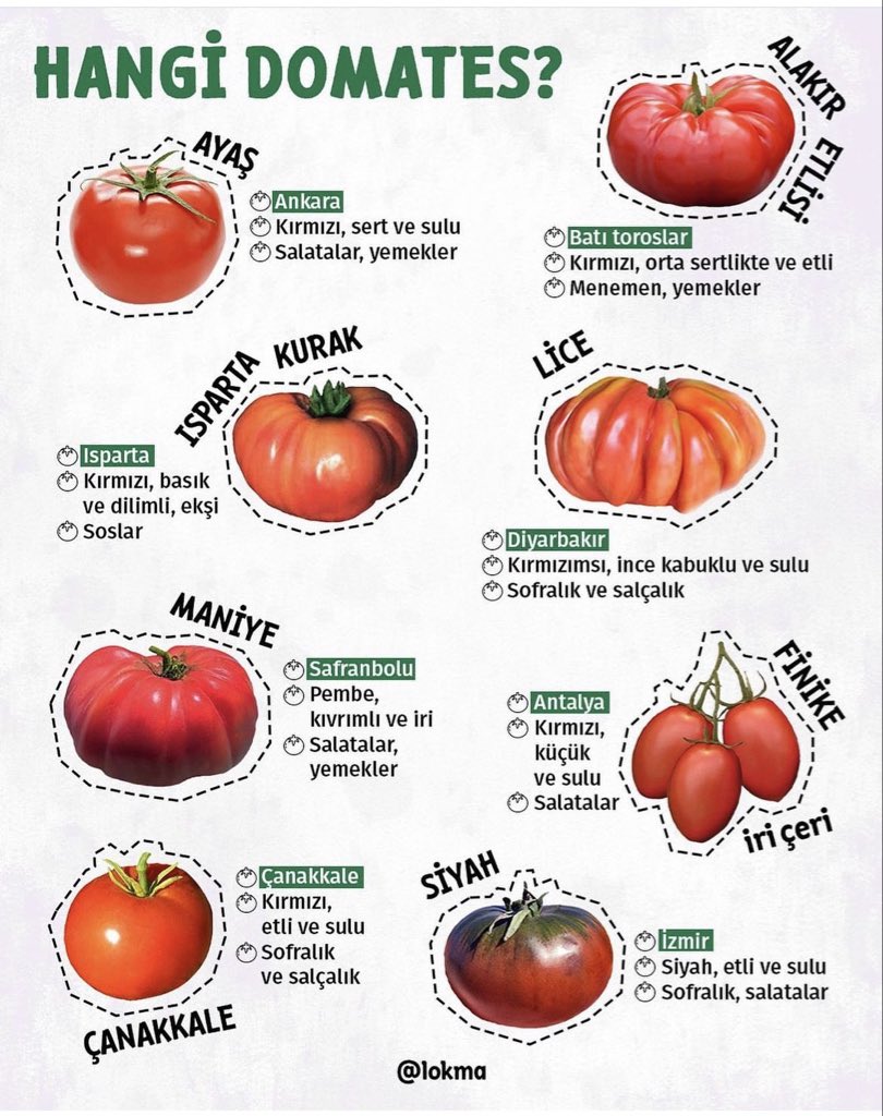 Hangi domates 🍅 
-Lice
-Ayaş
-Finike 
Başka?
#Tbt