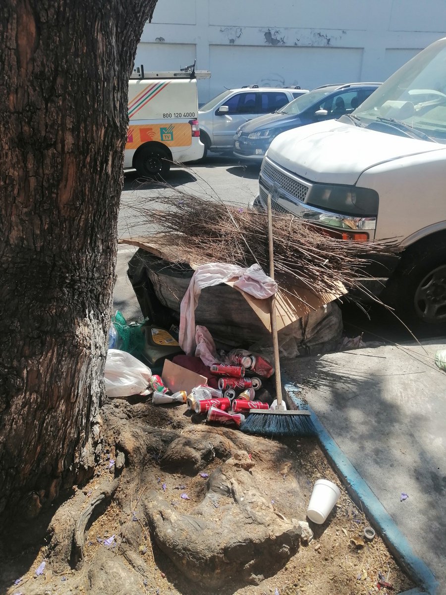 elgritodejac's tweet photo. Se solicita apoyo @AccionesBJ 
en calle Tenayuca, atrás de la Parroquia Santa Cruz Atoyac, con el propósito de que sea seguro caminar sobre baqueta y no por debajo de la banqueta, evitar accidentes, que se acumule basura, que se generen plagas, así como malos olores. https://t.co/7SnH39CbpY