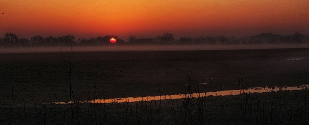 salina_mills's tweet image. Hope everyone is having a great Saturday!!! #sunrisesaturday #sunrise #photographer