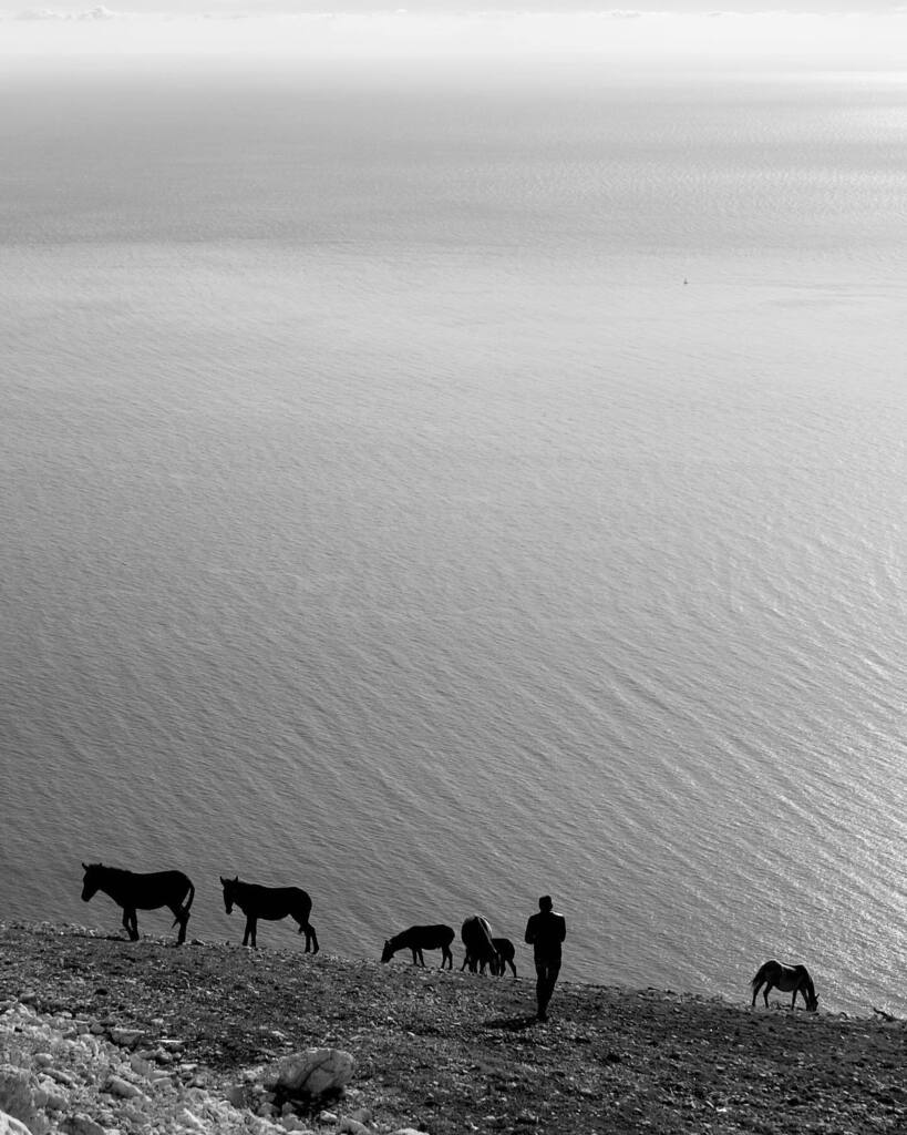 #bnwphotography #bnw #horses #southalbania #sea #albaniariviera #summervibes #vacation #fujifilm_xseries #fujifeed instagr.am/p/CpYRPSSNKtj/