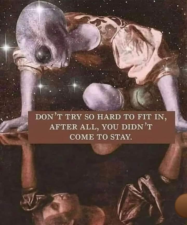 HomeAlliances's tweet image. Don't try so hard to fit in, after all, you didn't come to stay.
#curehomelessness #researchthis