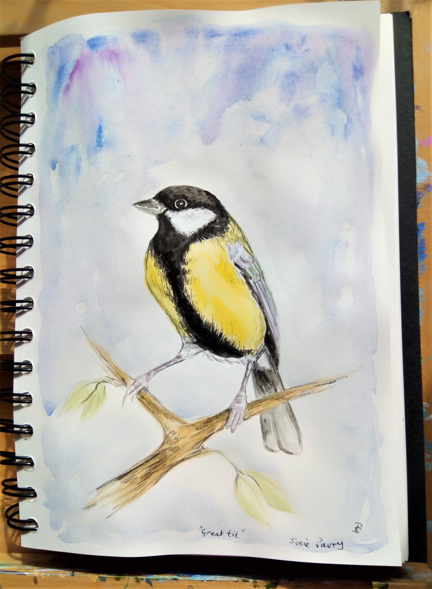It's #WorldWildlifeDay2023 - we like to feed robins & great tits that visit our garden & also plant flowers that bees & other pollinators enjoy #WorldWildlifeDay #wildlife #GardeningTwitter #BirdsOfTwitter #FeedTheBirds #SaturdayVibes #weekendvibes #artshare #watercolorpainting