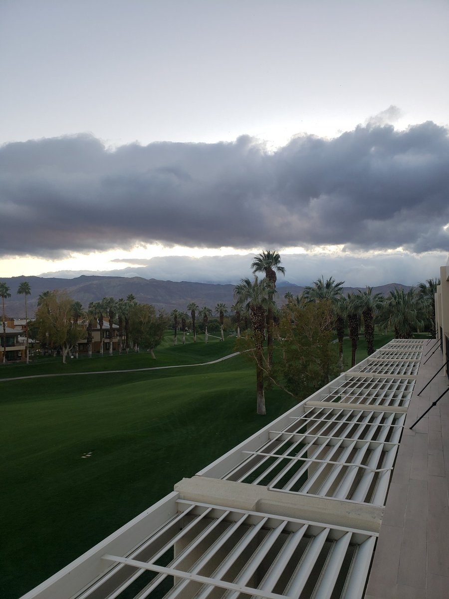 TheMorganWhtney's tweet image. Palm Springs Cali🌴