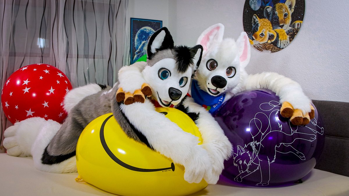 Bouncy #SqueakySaturday 
together with <a href="/Bolt_Cadell/">Boltee</a> 🎈😉

🎥Video-Link:
youtu.be/EjoxpbXzzgQ

#furry #fursuit #Balloons #Balloon #looner