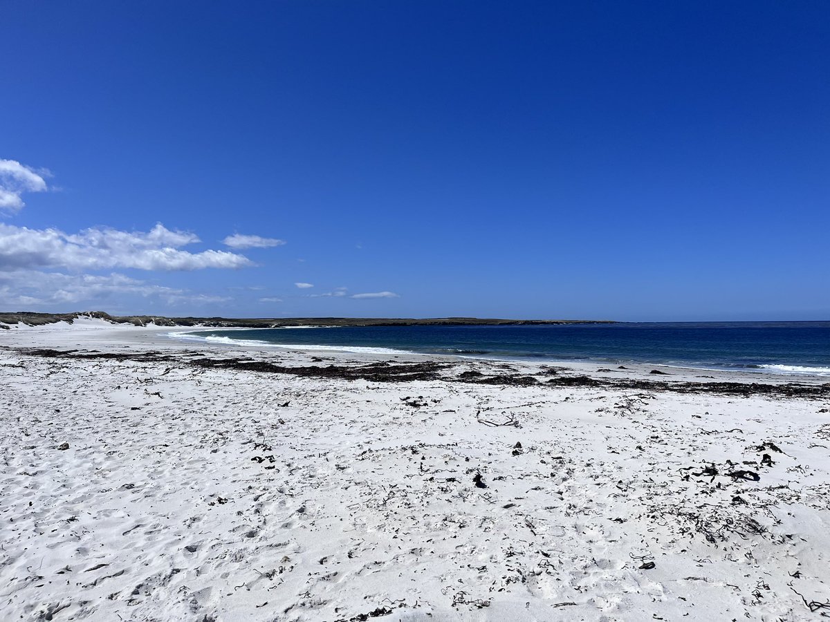 SDoughtyMP's tweet photo. Deeply disappointing moves by Argentina this week.

The #FalklandIslands are British.

That is the decision of their people - and it is a decision that @uklabour supports 100%.

I was proud to visit last year.

🇬🇧 🇫🇰 https://t.co/wD8DgEure0