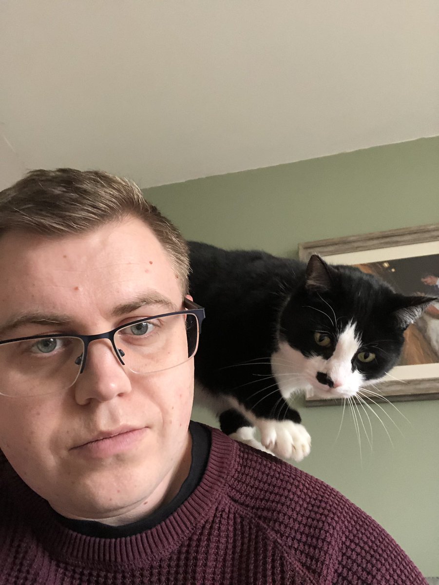 Happy #Caturday everybody. Here’s Wade walking all over my shoulders 🐱