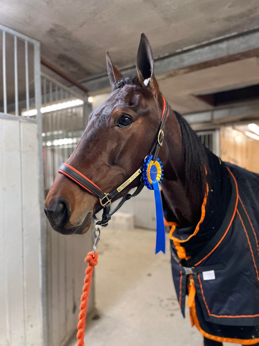 Västerbo Razzia tog andra årssegern på Örebro idag. Hon övertog ledningen efter 700m och därifrån vann hon i fin stil🌟🐴🥇💨