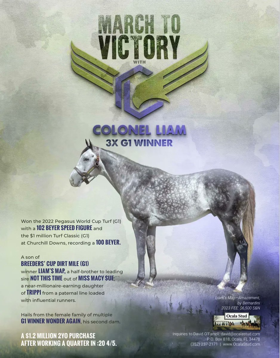 👉 March to victory with 3x Grade I winner COLONEL LIAM, new to @OcalaStud.