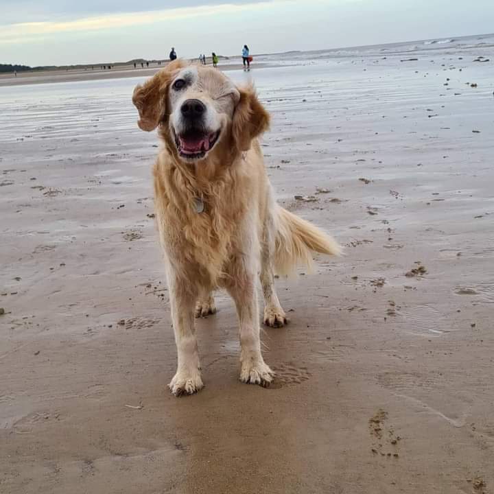 Today is my birthday hope I get some love here 💕💕