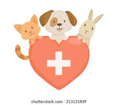 Oferta de empleo. Protectora de Villena (Alicante).
Buscamos veterinario para cubrir baja temporal, con experiencia en diagnóstico y cirugías básicas de tejidos blandos. 
Currículums a: info@protectoravillena.com

Fecha inicio oferta: 04/03/23