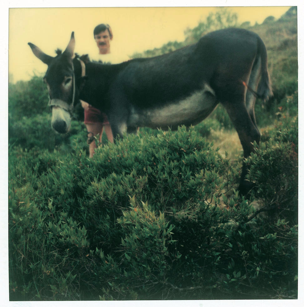 artfilmm's tweet photo. Polaroid by Andrei Tarkovsky. https://t.co/JkuARLFWCO
