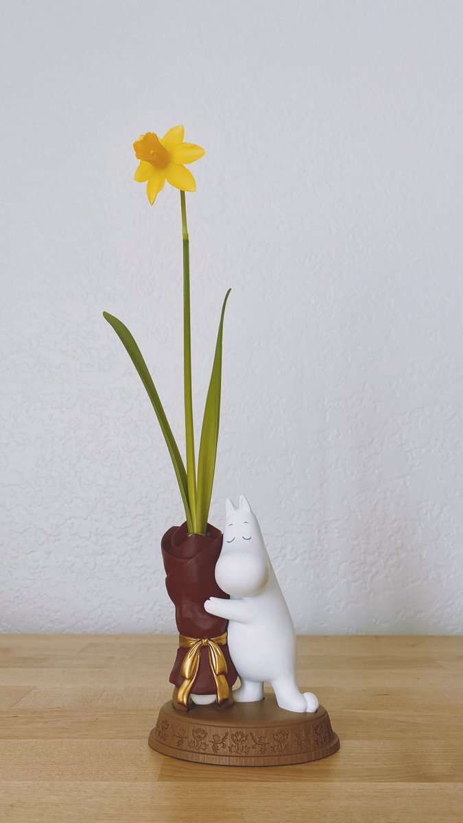 Today’s flower: Daffodil 🌼 오늘의꽃: 수선화 今日の花：水仙(スイセン)