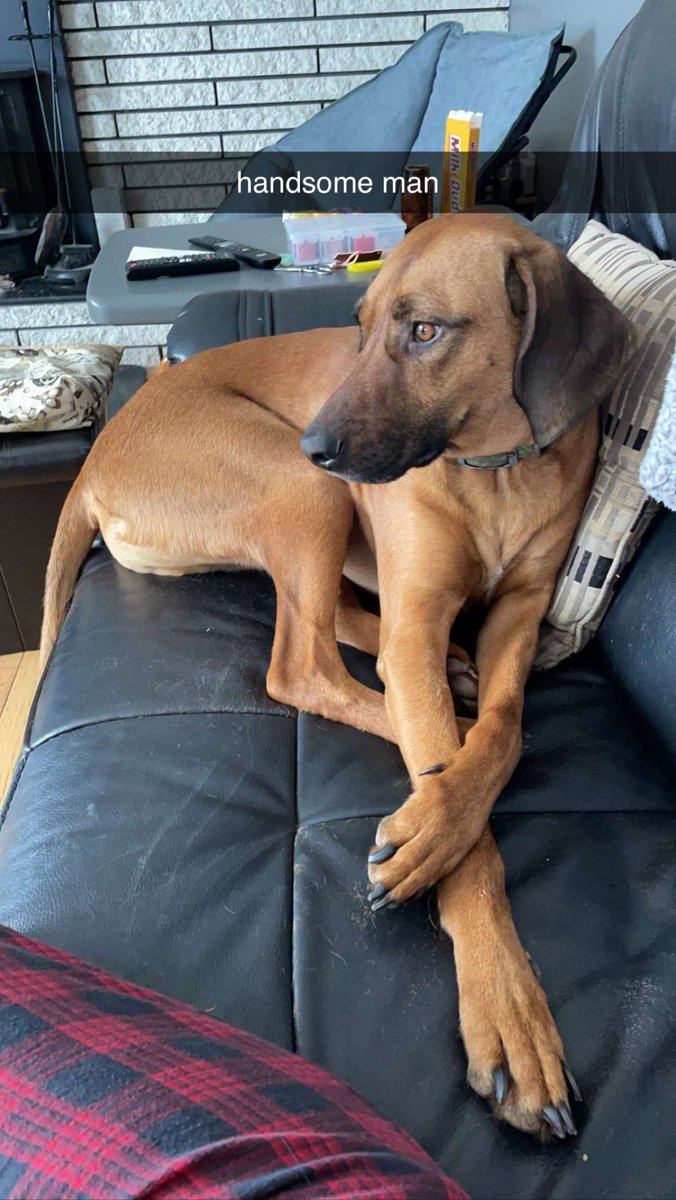 Nat🪩|| twitch.tv/natisntfunny tweet media