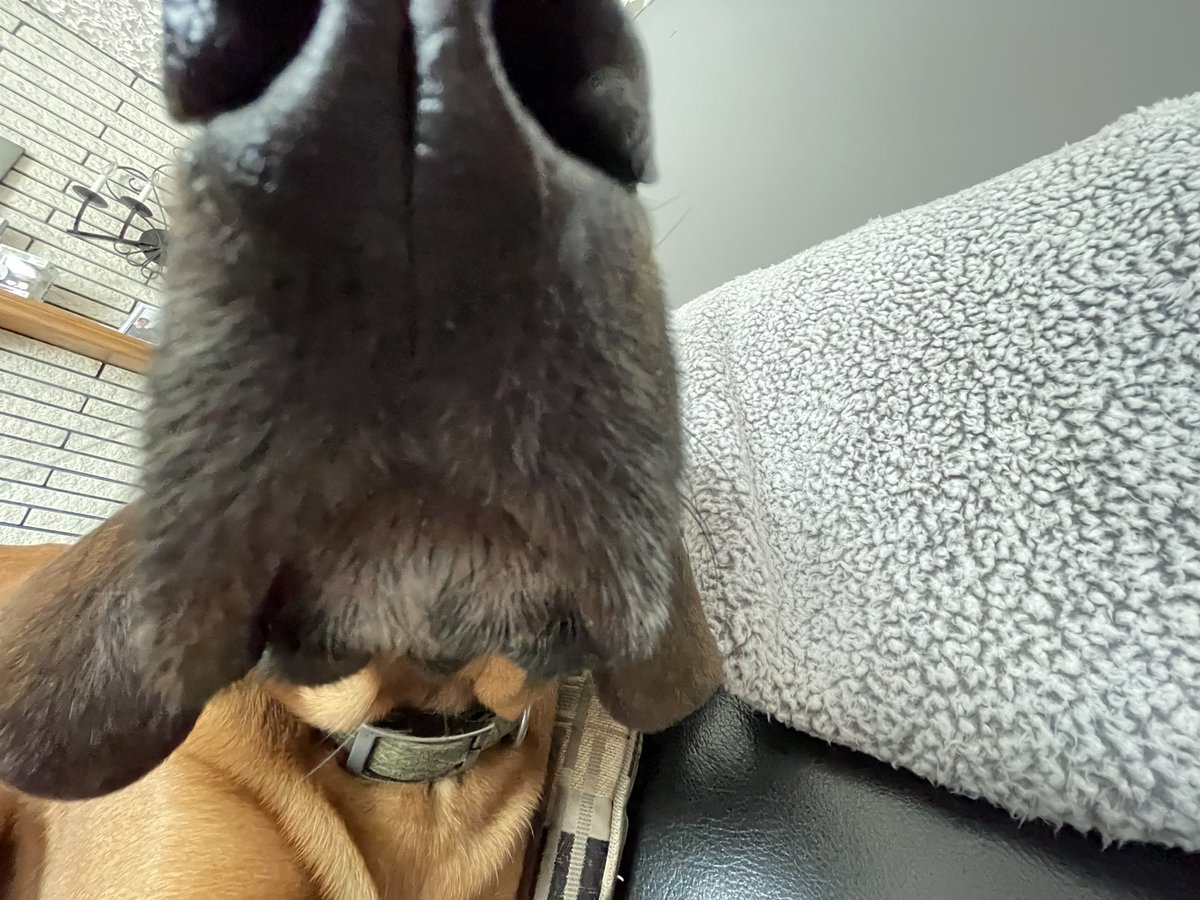 Nat🪩|| twitch.tv/natisntfunny tweet media