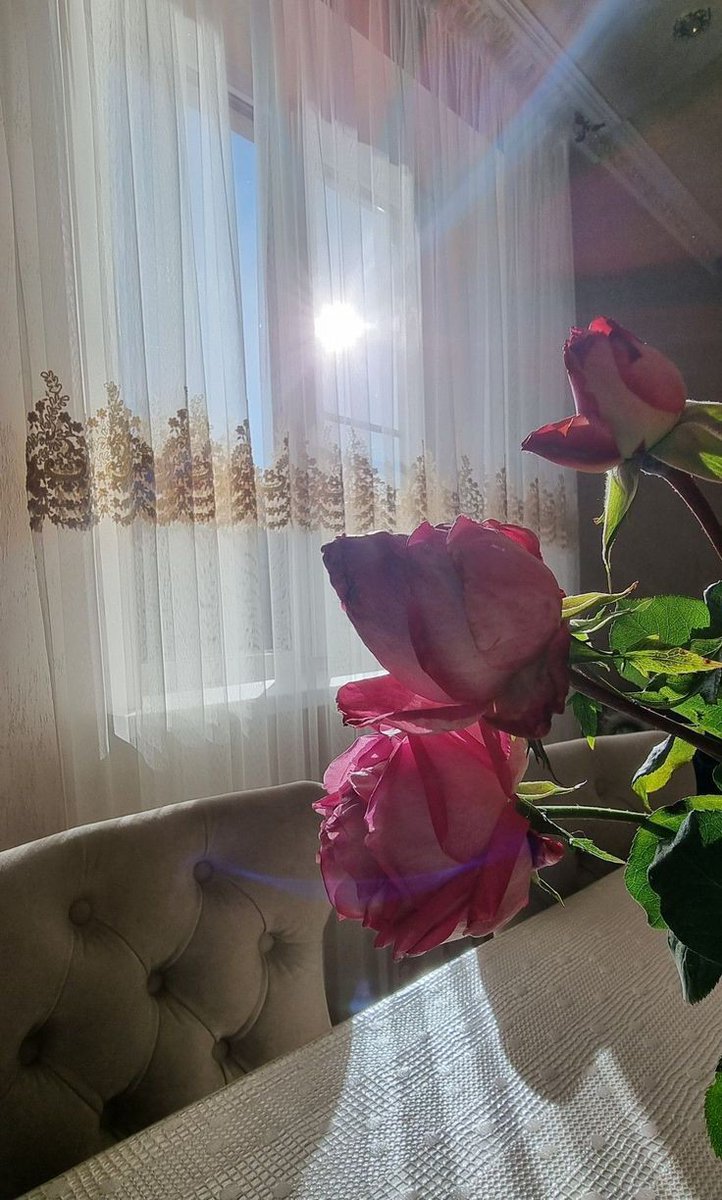 السعادة احيانا محادثه بسيطه  
   مع شخص تحبه :
الحديث مع روح تحبها سعاده تغنيك
     عن الدنيا وما فيها