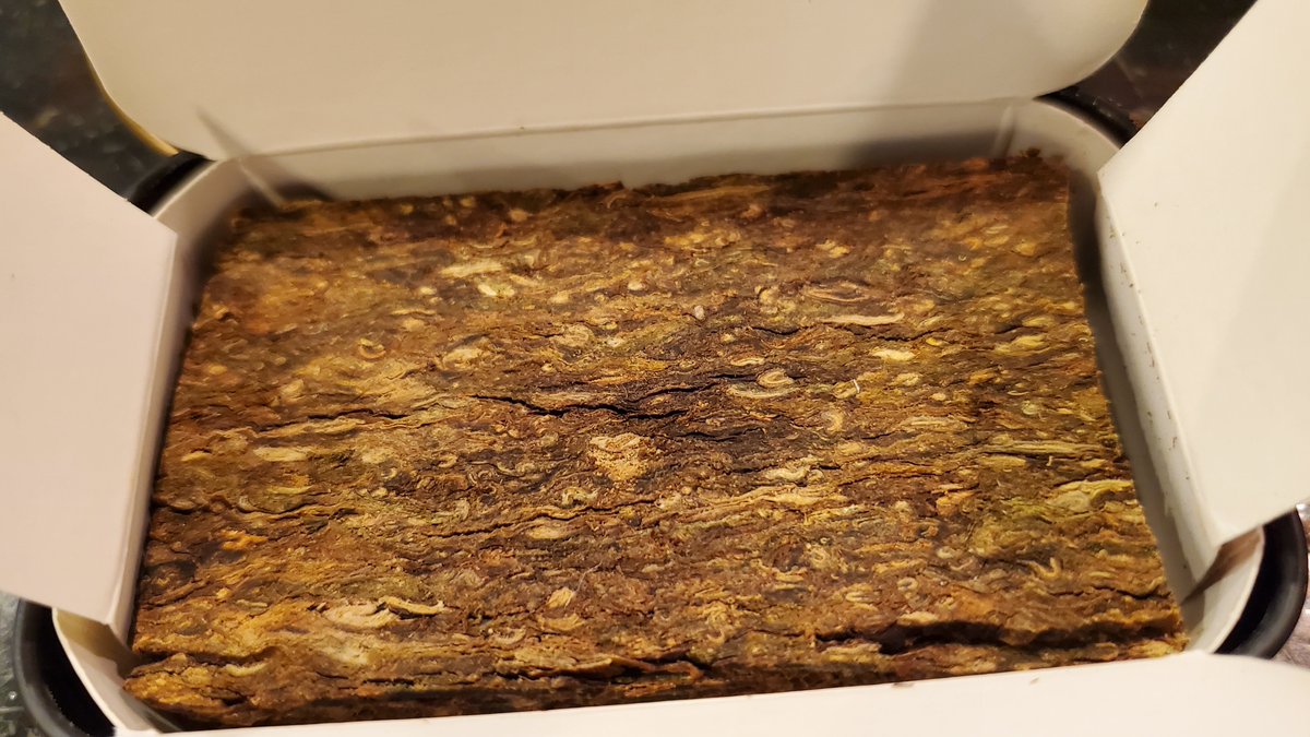 丹波小太郎 on Twitter 