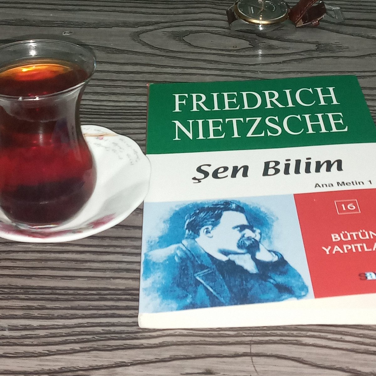 "Ünlerine ihtiyaçları olan ünlüler, örneğin politikacılar, yandaşlarını ve arkadaşlarını asla art düşünce taşımadan seçmezler"

Nietzsche