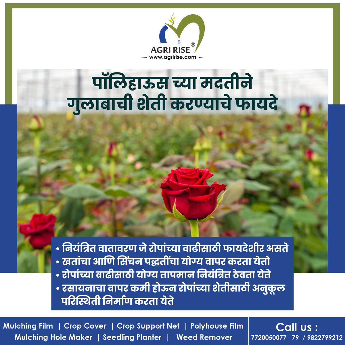 पॉलिहाऊस च्या मदतीने गुलाबाची शेती 🌹💐🥀करण्याचे फायदे 🤩

#PolyhouseFarming
#GreenhouseFarming
#HighTechFarming #ModernFarming
#ProtectedCultivation
#agririse
#VerticalFarming
#SustainableFarming #OrganicFarming
#RoseFarming
#FlowerFarming
#Floriculture
#RoseGarden
#RoseFarm