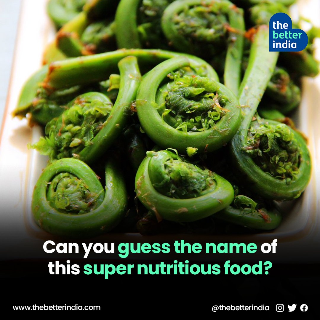 Found in the #Himalayan states of north and northeast, this superfood grows in wild & moist areas and is known by many names across India.

What is it called in your region? 

Let us know in the comments.

#IndianFood #Health #GuessTheName
