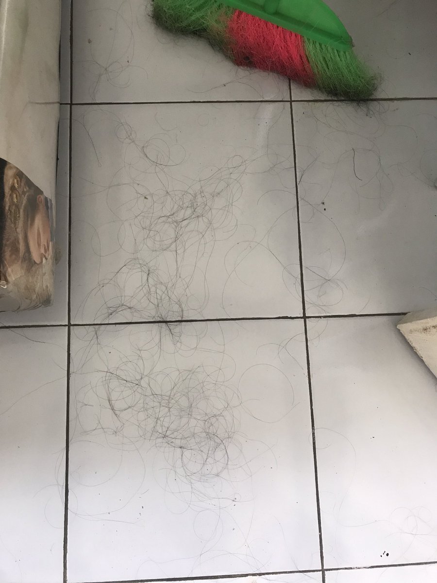 iralujianty's tweet photo. Normal gak sih tiap hari rambut rontok segini banyak? Trus bejatuhan di lantai dimana mana https://t.co/04vxL9I6AZ