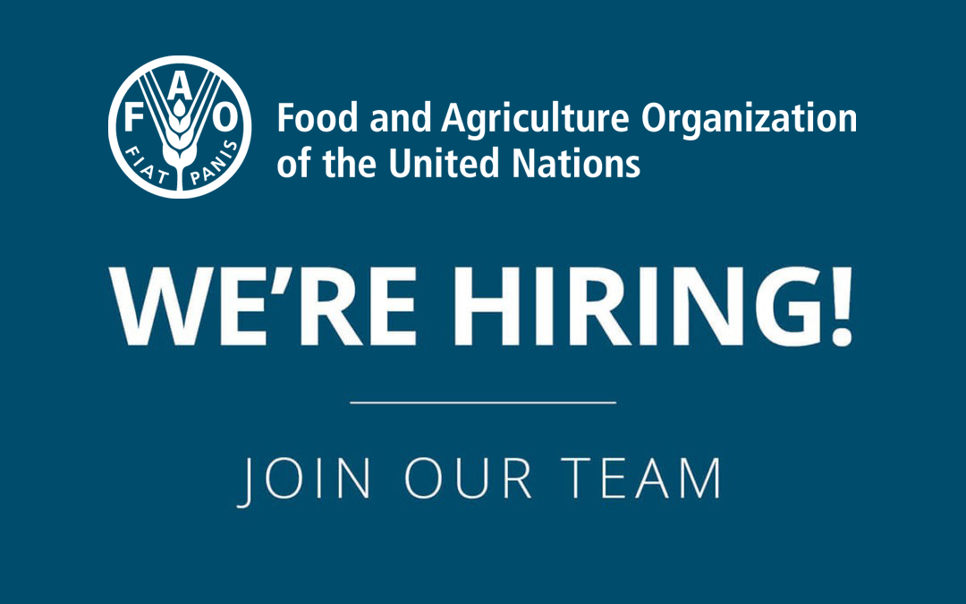 FAO Philippines on Twitter "FAO🇵🇭 is looking for select and highly