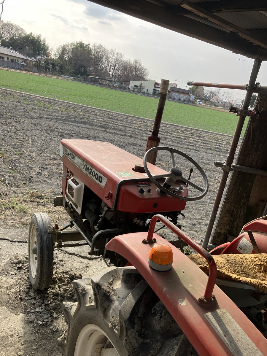 ラーマン ラセル BUY NOW JAPAN代表 on Twitter 