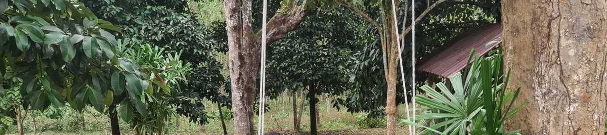 GerakDarma's tweet photo. #lovewhatido #traveling #travel #exploration #explore #seetheworld #oldfriends #visit #jalanperigi #Yan #kedah #malaysia #gunungjerai #scenery #relaxing #catchingupwithfriends #mineralexploration https://t.co/KuJGs9FoOB