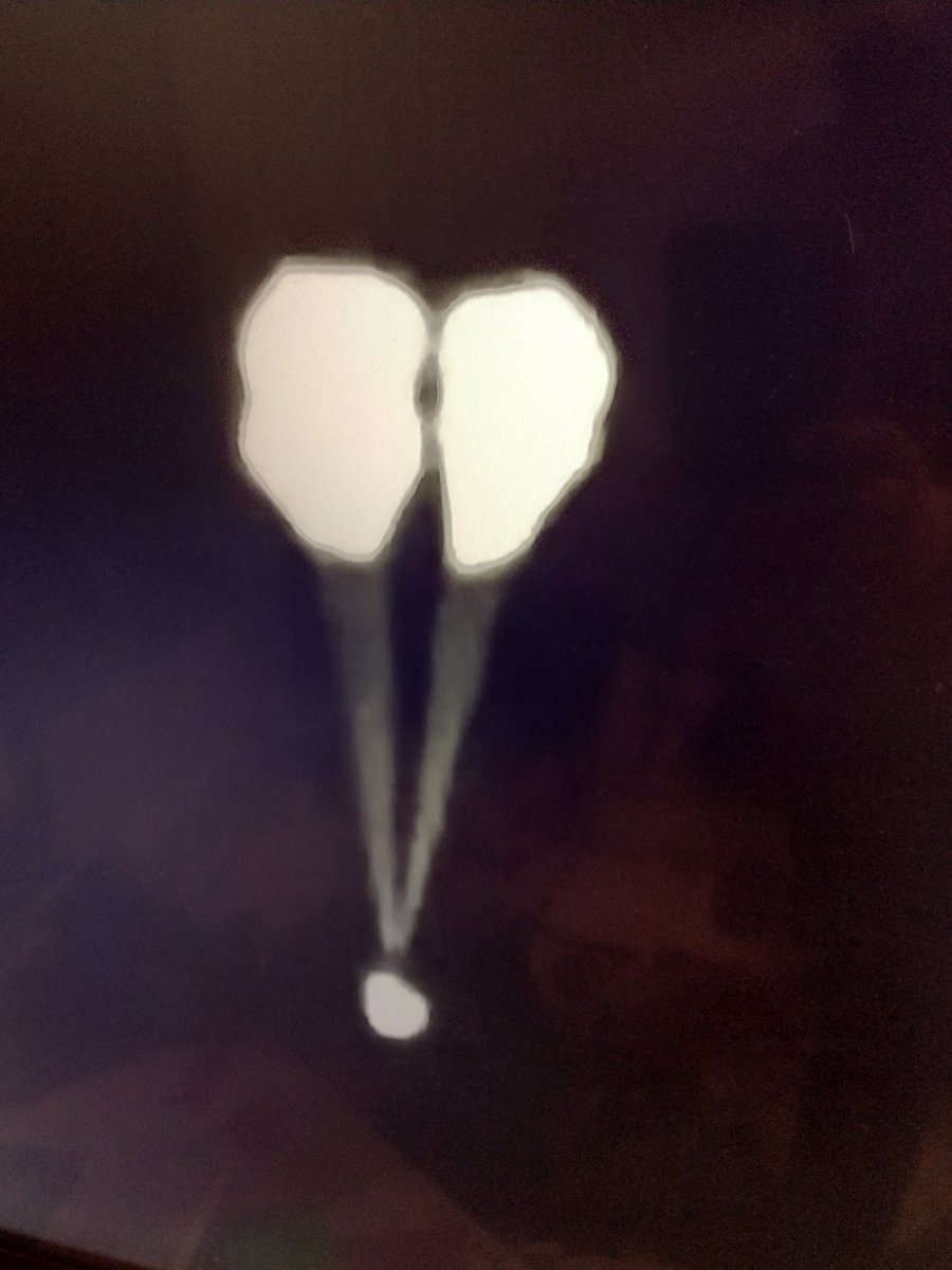 bbrown_hes's tweet image. Can&apos;t wait to share these pics with my students of the Dragon spacecraft re-entry and touchdown. We created parachutes for space capsules and tested them 2 weeks ago. #coolscience #STEMreallife #NASAlive