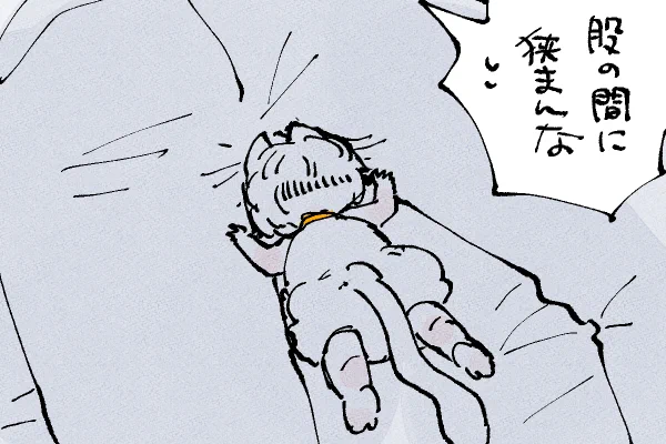 🐱おまけ
狭いとこに突っ込んでくるよね😂 