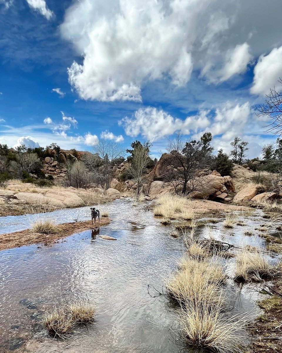 It’s always great to see water running in the desert! #PrescottAZ #ArizonaHiking #GraniteMountain #MintWash #WilliamsonValleyAZ
