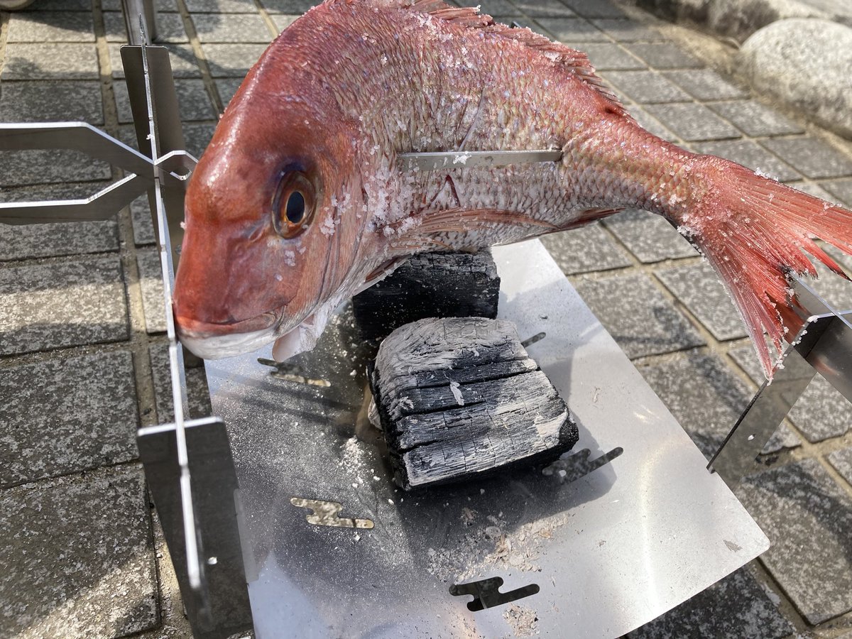 mogumoguchicchi's tweet photo. ZEN PIT、初火入れ！
ダンナ氏の昇進を祝して鯛を焼いてみる🐟
上手く焼けるかな〜😅
#zenpit https://t.co/KkX1cIuxSI